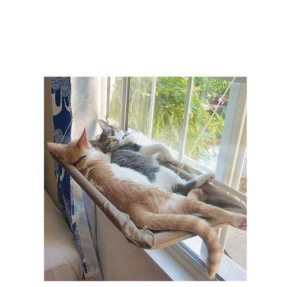 Purrfect Sun Hammock